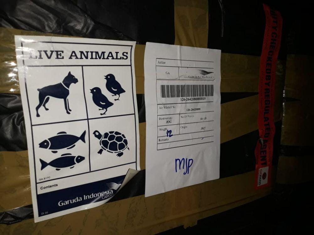 IDN Times/Daruwaskita