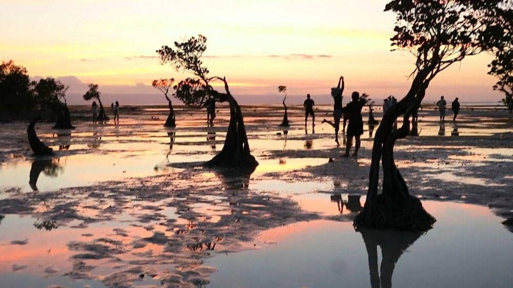 Dok. Pribadi/Fadila Suryandika