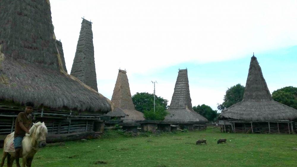 Dok. Pribadi/Rizqi Ayudewi