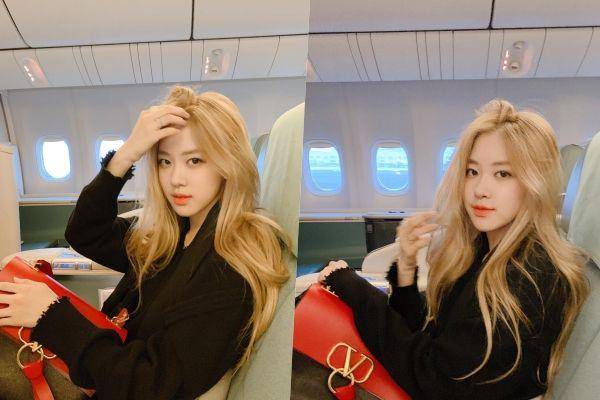 instagram.com/roses_are_rosie