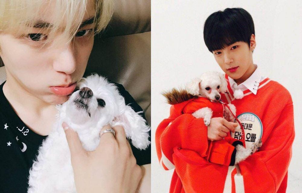 Twitter.com/OfficialMonstaX