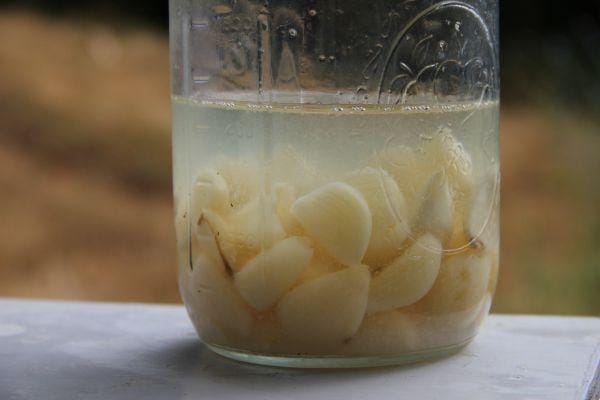 gianacliscaldwell.com