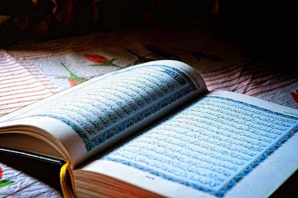 Pixabay/Afshad