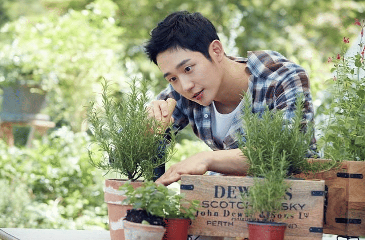 instagram.com/holyhaein