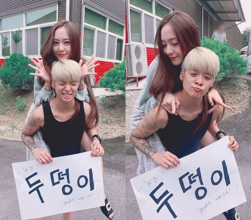 Instagram.com/ajol_llama