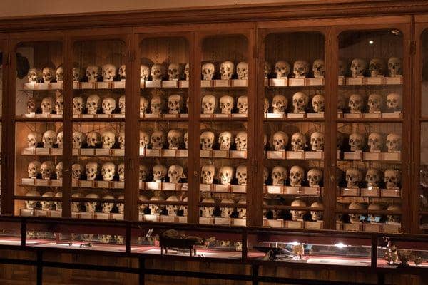 Muttermuseum.org