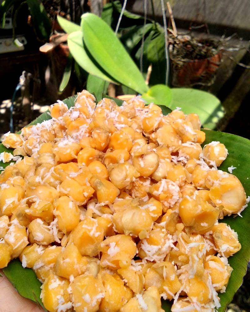 instagram.com/maysarazatunnur