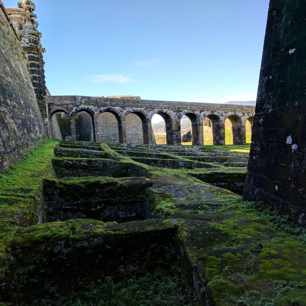 instagram.com/kittykatofdoom/