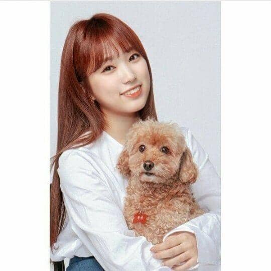 Instagram.com/official_izone