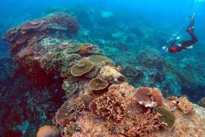 financialexpress.com