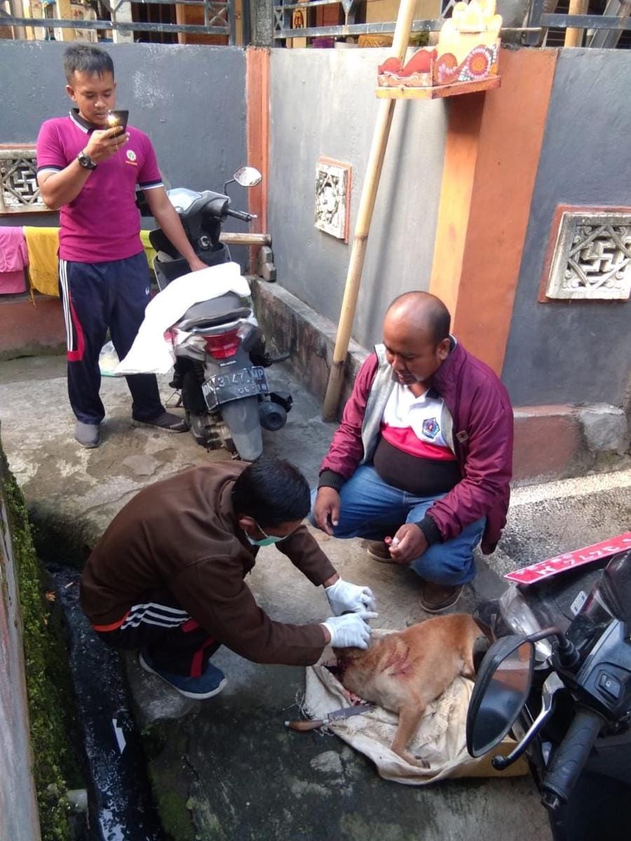 Dok.IDN Times/Istimewa