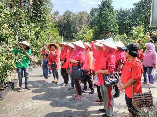 http://www.gedangsari.com/kebun-buah-langka-sedayu-jogja.html
