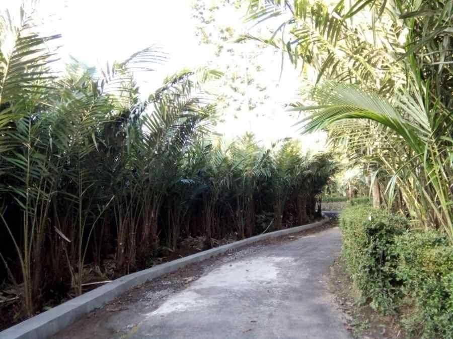 oleholehjogja.biz