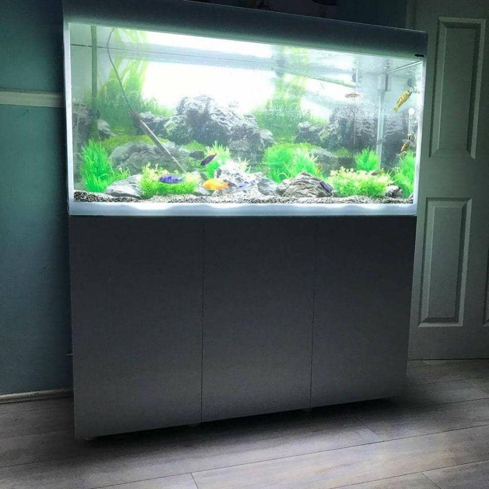 Instagram/ justfinns