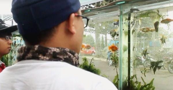 IDN Times/Toni Kamajaya