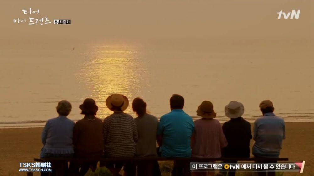 nekosdrama.wordpress.com