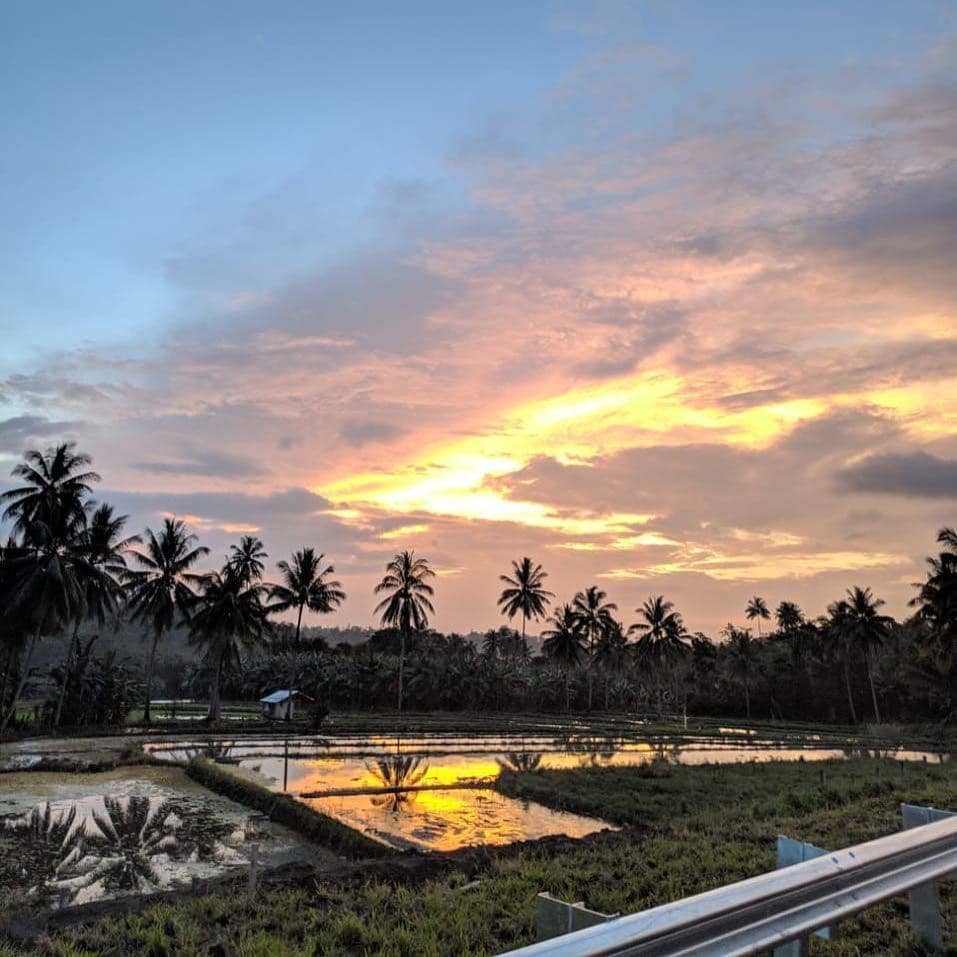 Instagram.com/dumaisce