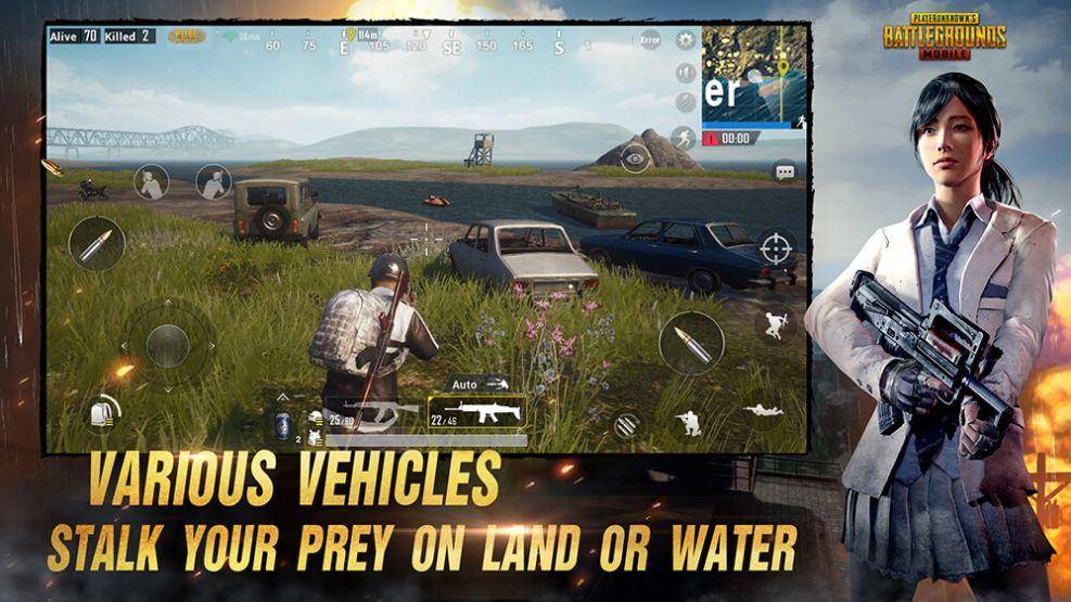 https://www.pubgmobile.com