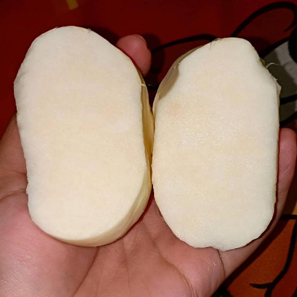 instagram.com/lestarinurwalidah