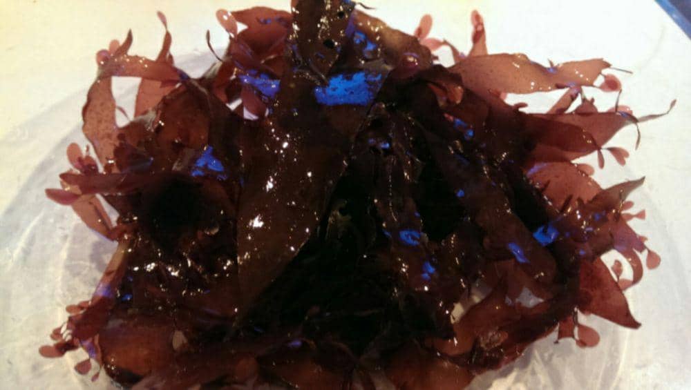 gallowaywildfoods.com