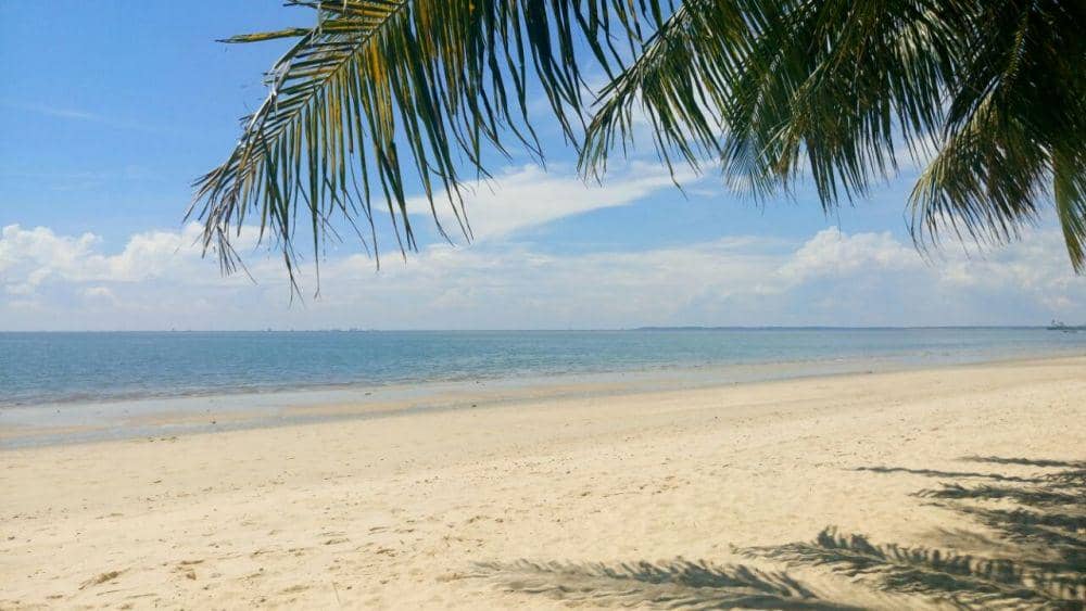 commons.m.wikimedia.org