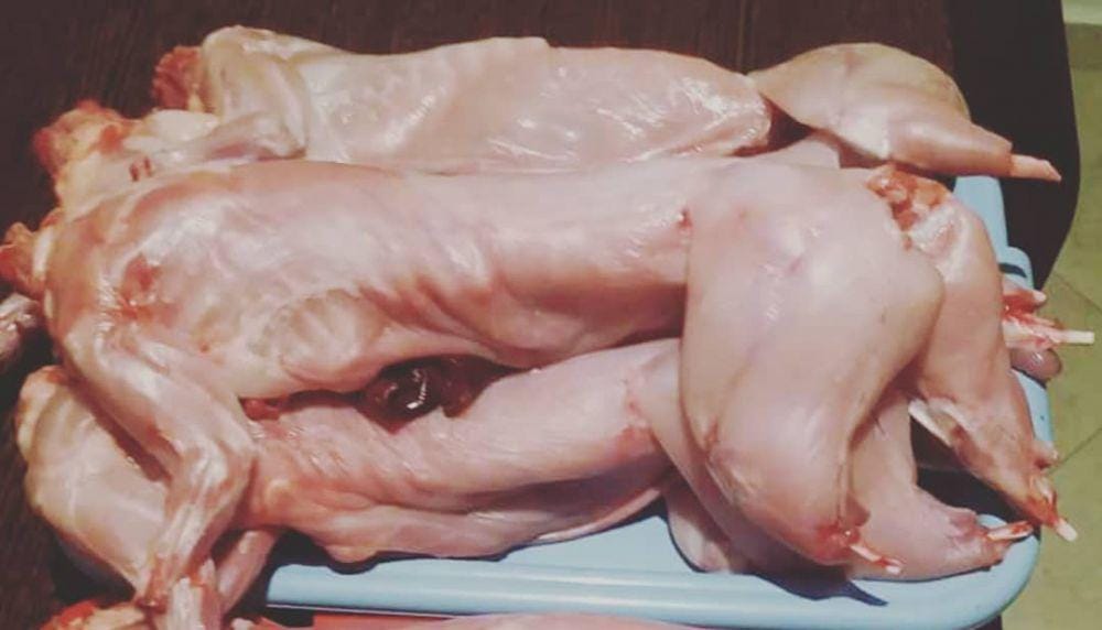 instagram.com/waroeng_myrabbit