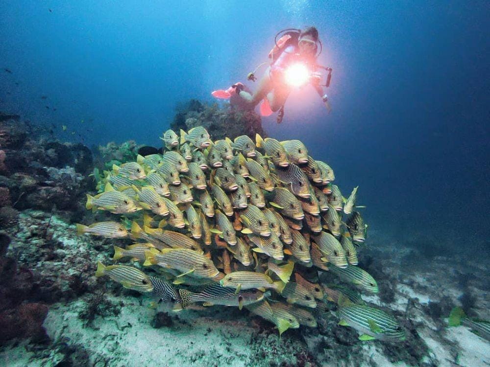 Instagram/marischkaprue