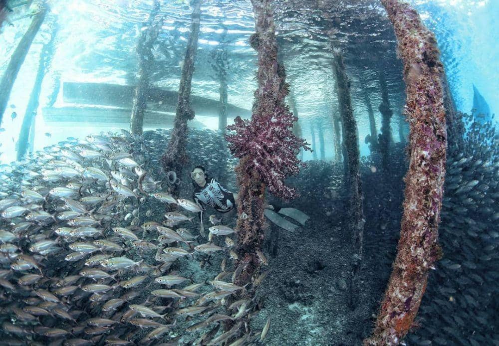 Instagram/marischkaprue