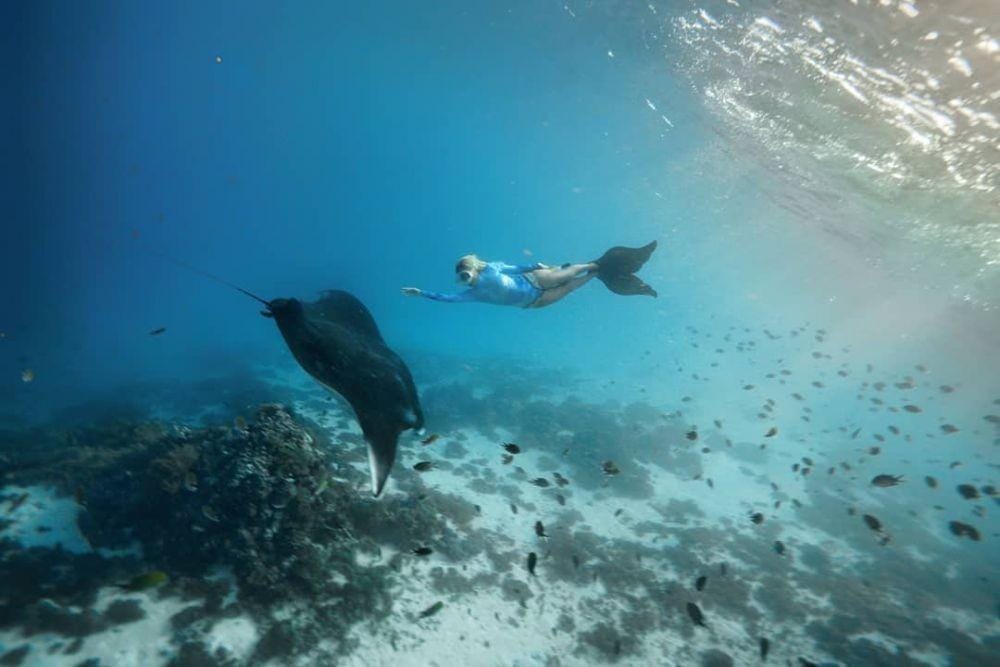 Instagram/marischakprue