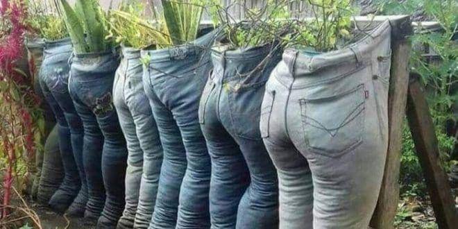 pandji-indonesia.com