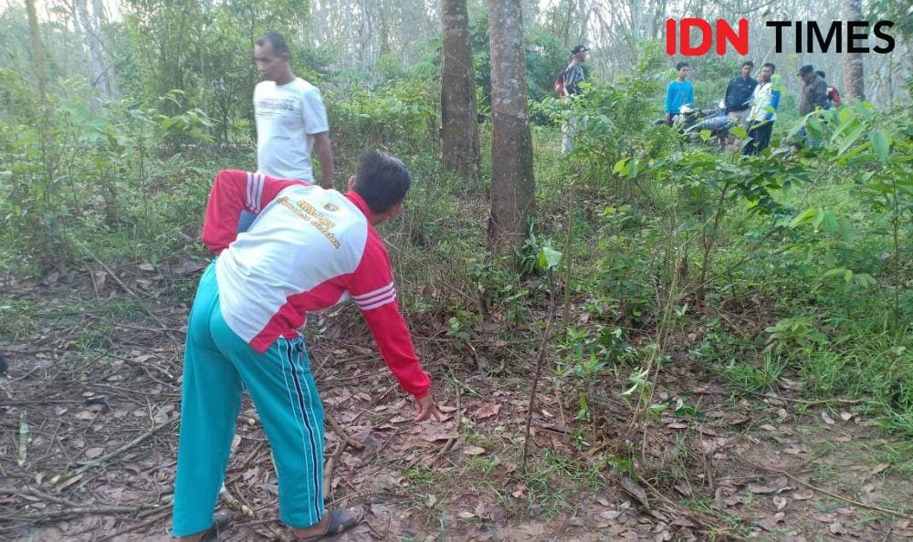 Dok.IDN Times/Istimewa