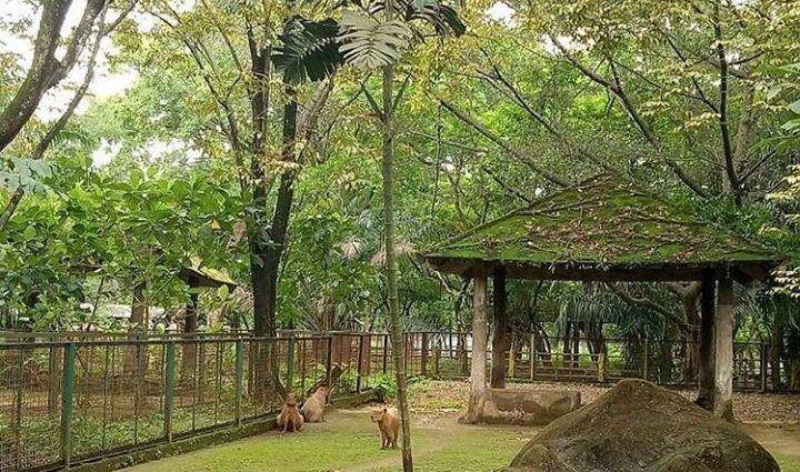 Intagram/@ragunanzoo