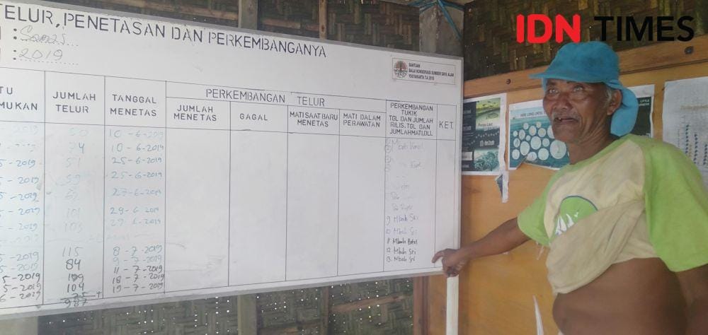 IDN Times/Daruwaskita