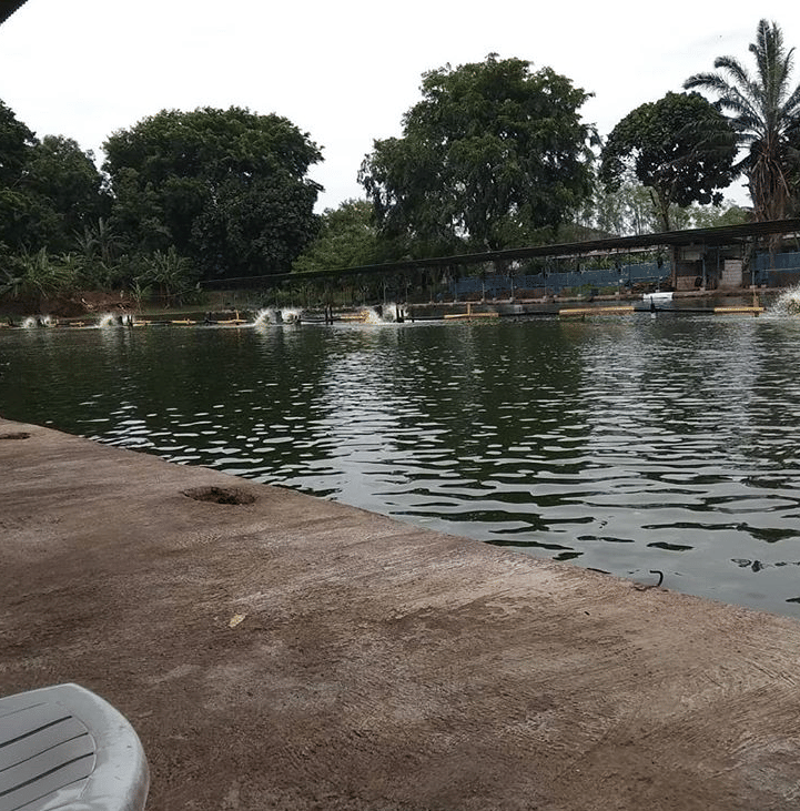 Instagram @joekerabat666