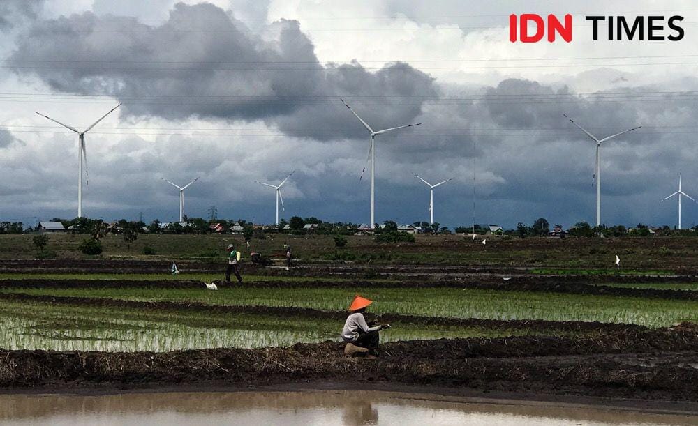Pembangkit Listrik Tenaga Bayu di Jeneponto, Sulsel (IDN Times/Abdurrahman)