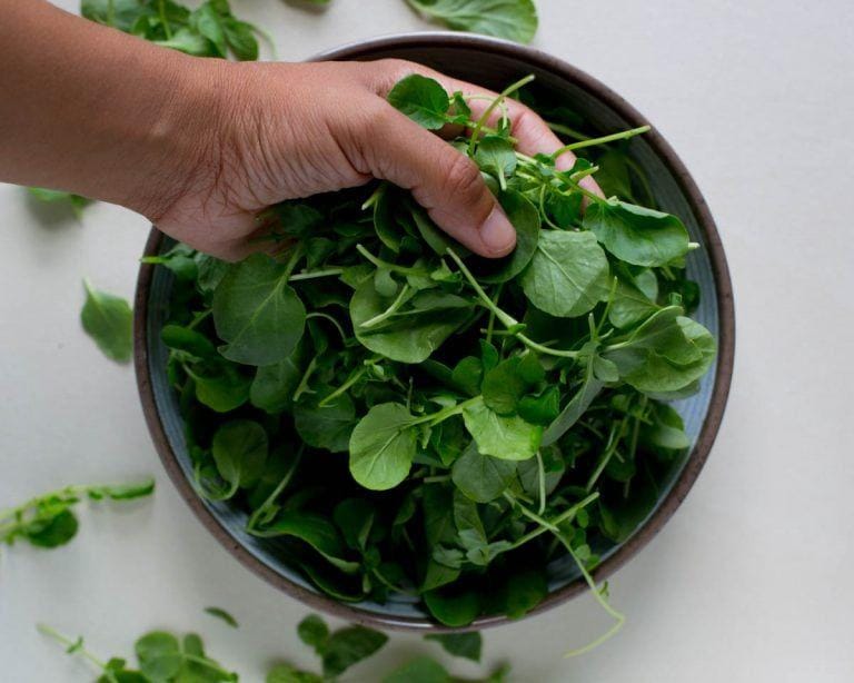 foodheavenmadeeasy.com