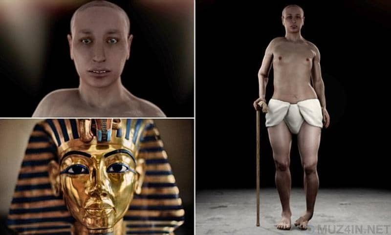 vitkvv2017.livejournal.com