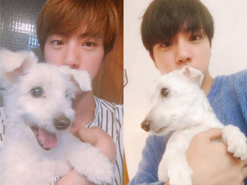 twitter.com/jjk_widoww2