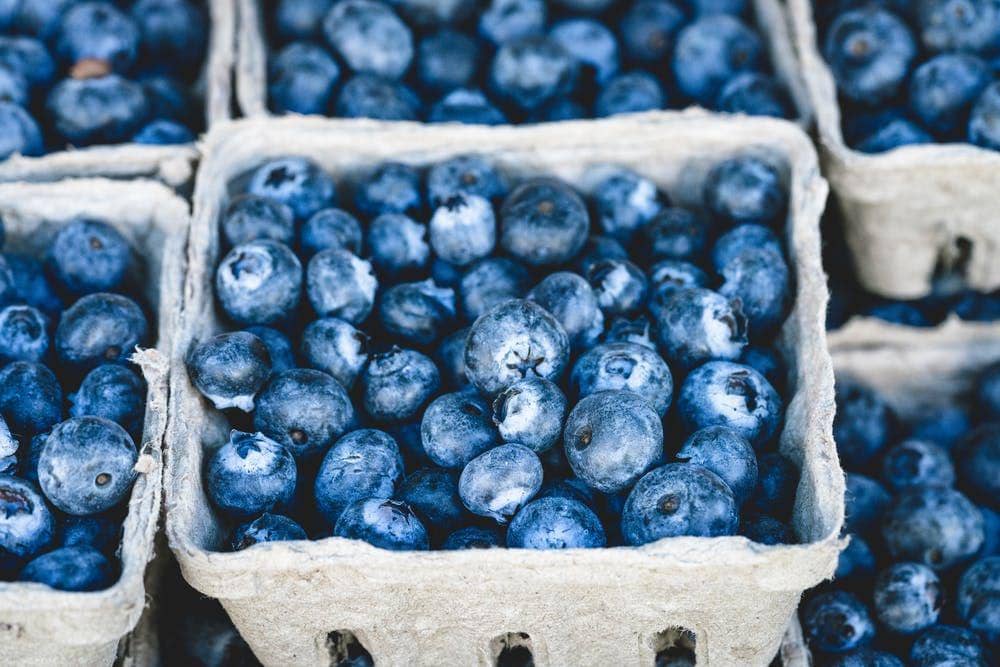 6 Manfaat Blueberry untuk Kesehatan yang Jarang Diketahui