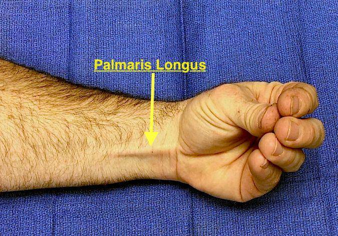 handsurgeryresource.com