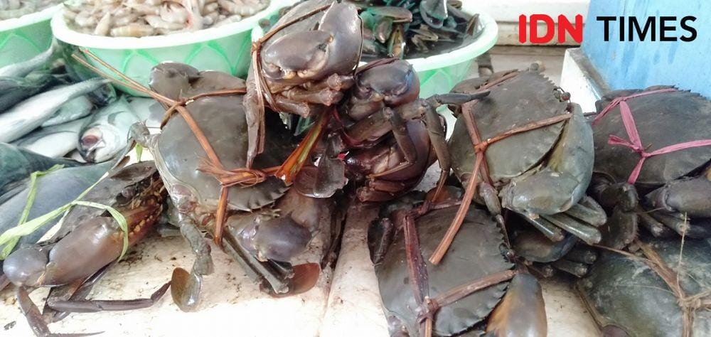 IDN Times/Daruwaskita