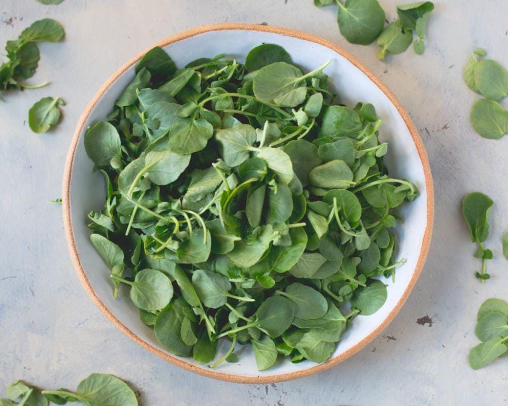 foodheavenmadeeasy.com