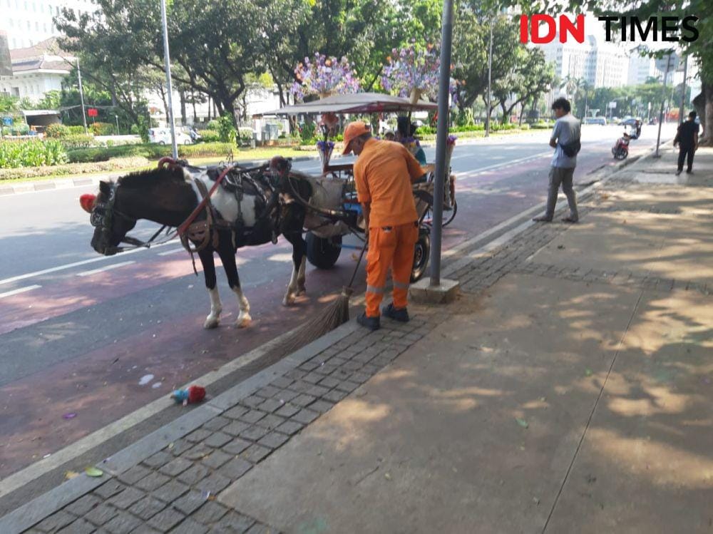 IDN Times/Gregorius Aryodamar