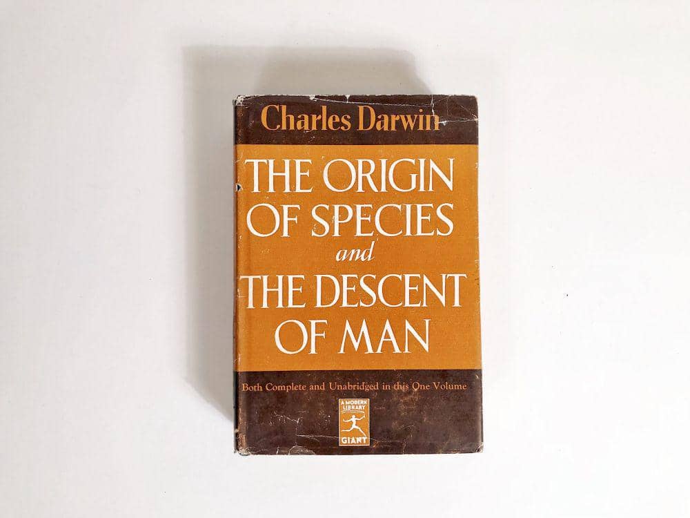 welcometocalliope.com