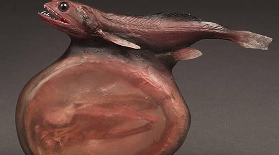 allthatsinteresting.com