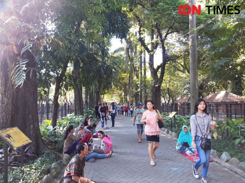 IDN Times/Fitria Madia