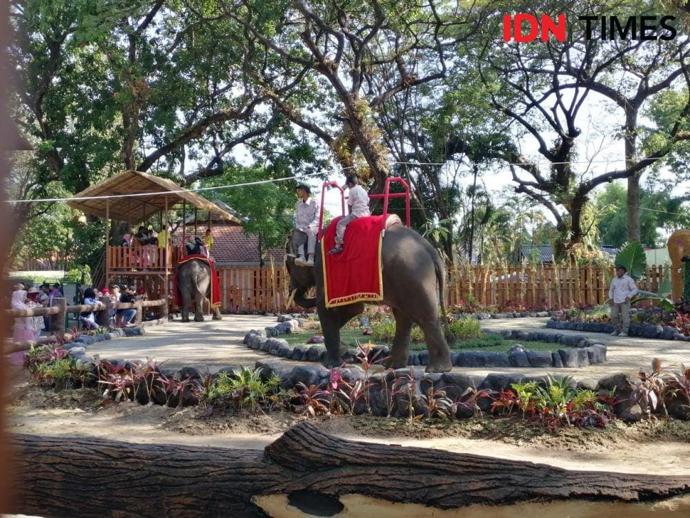 IDN Times/Fitria Madia