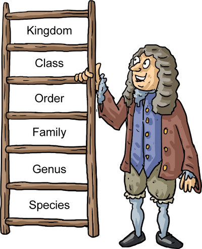 st-agnes.manchester.sch.uk