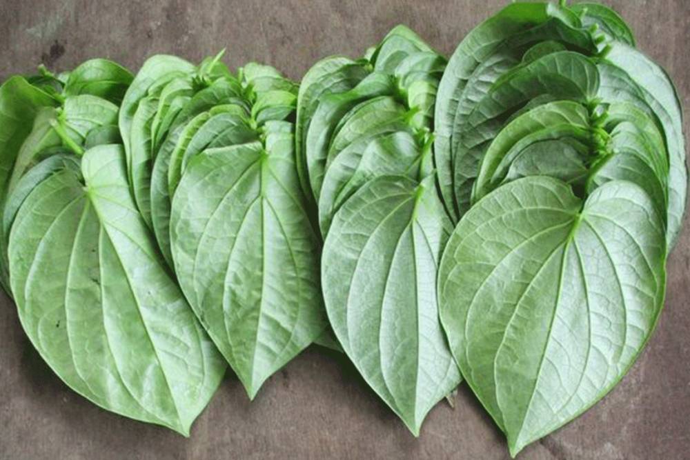 thaiinnoherb.com