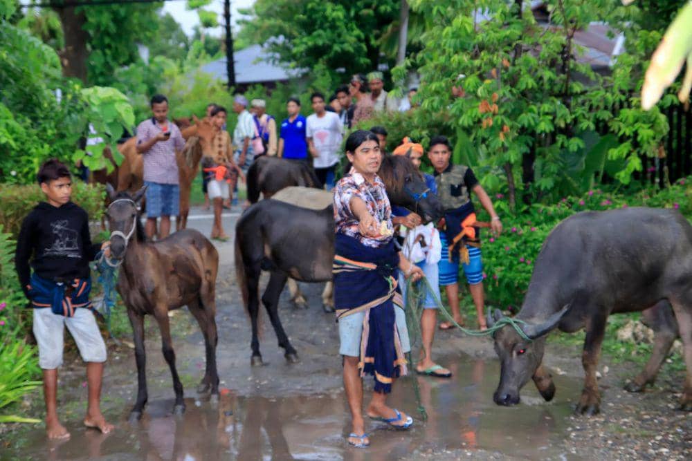 facebook.com/Naomi Palekahelu